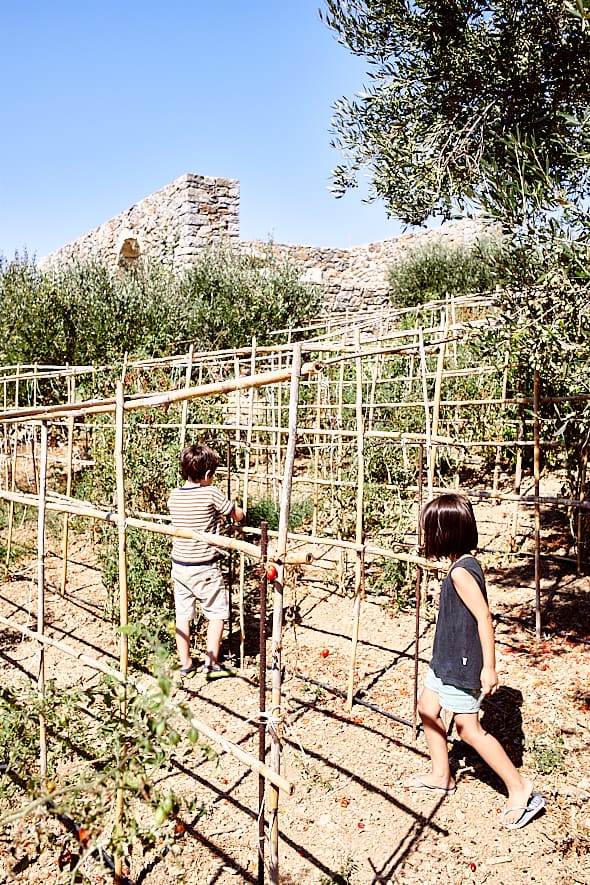Ferme de Peskesi, Crète, Grèce. Ferme de Peskesi, Crète, Grèce.