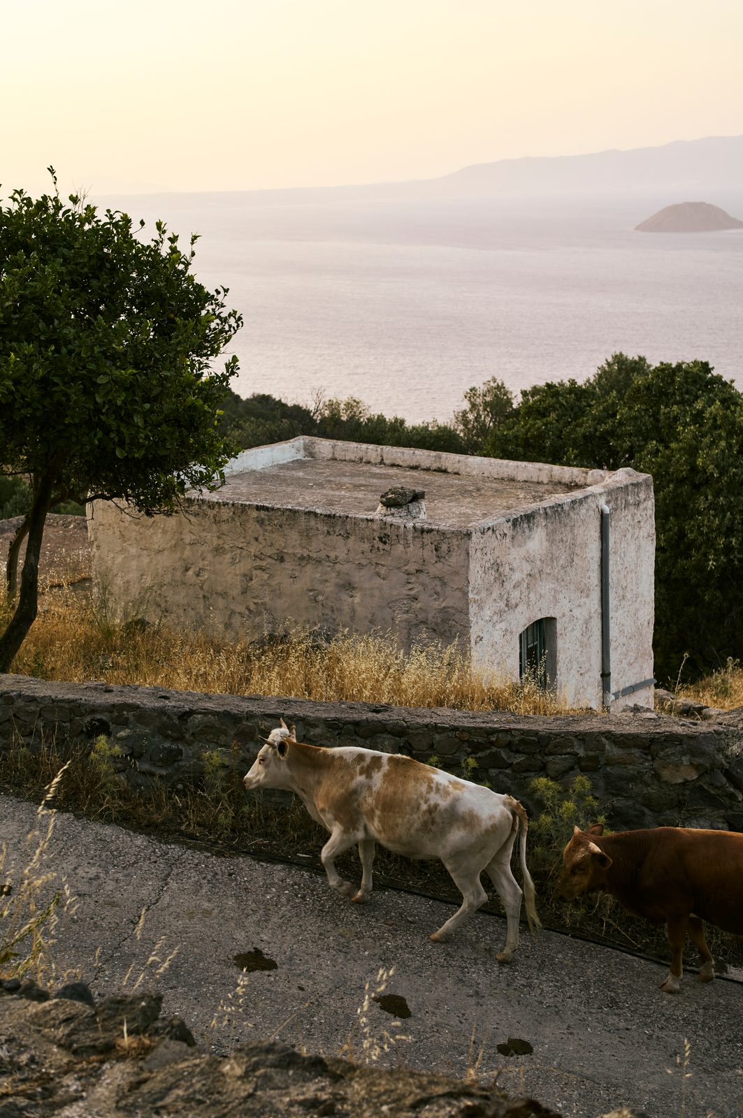 Le village d'Emborio