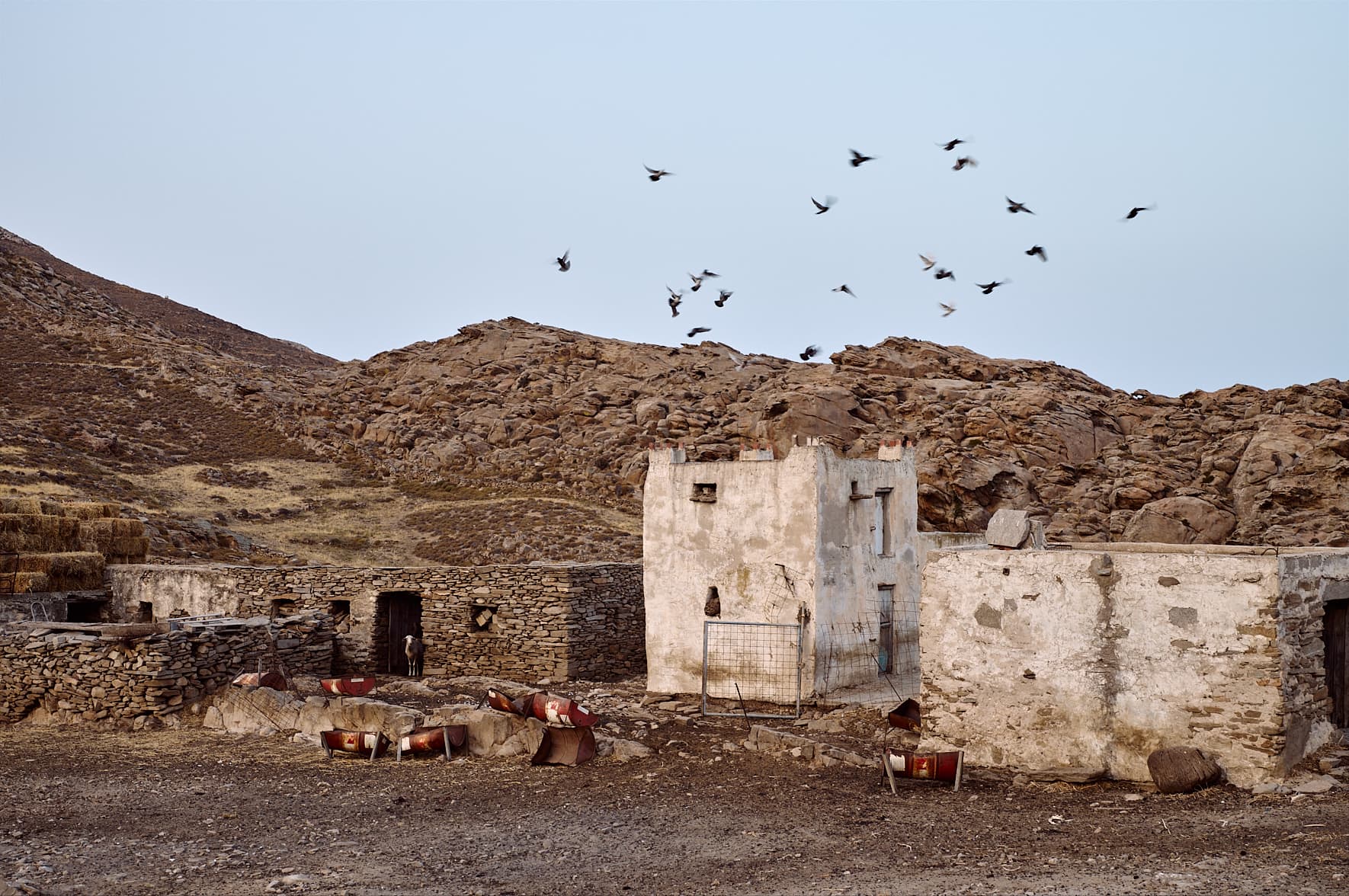 Ferme à Koukounariès