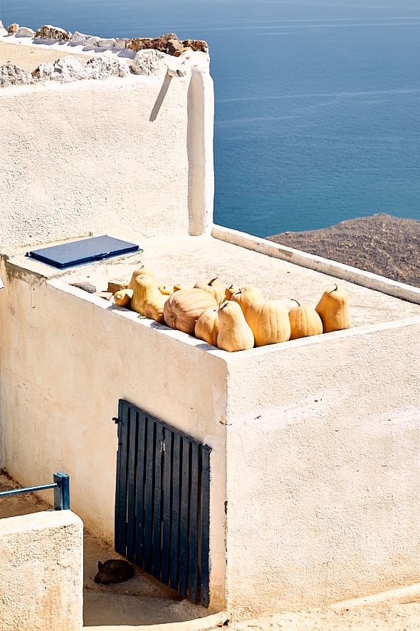 Citrouilles sur une maison dans la campagne d'Anafi. 