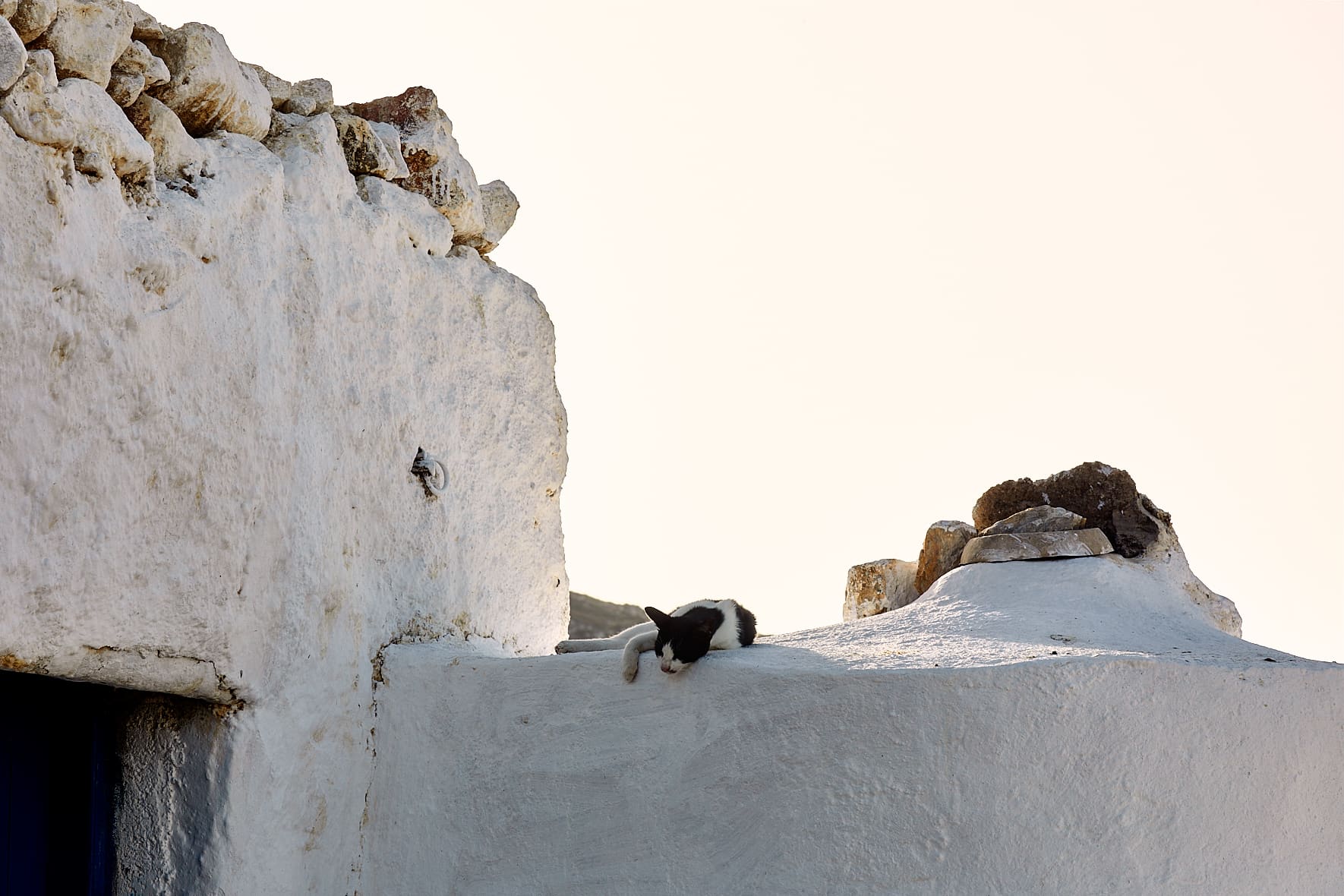 Chat dans une ferme, Anafi, Cyclades