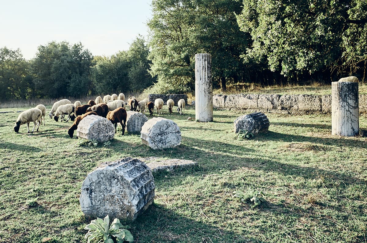 Aux sources de l'Arcadie