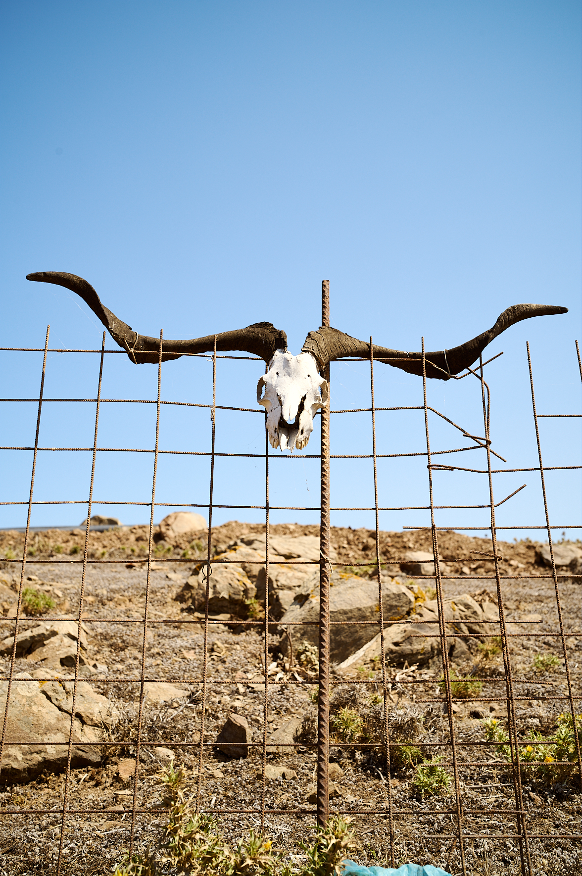 Ferme du bout du monde