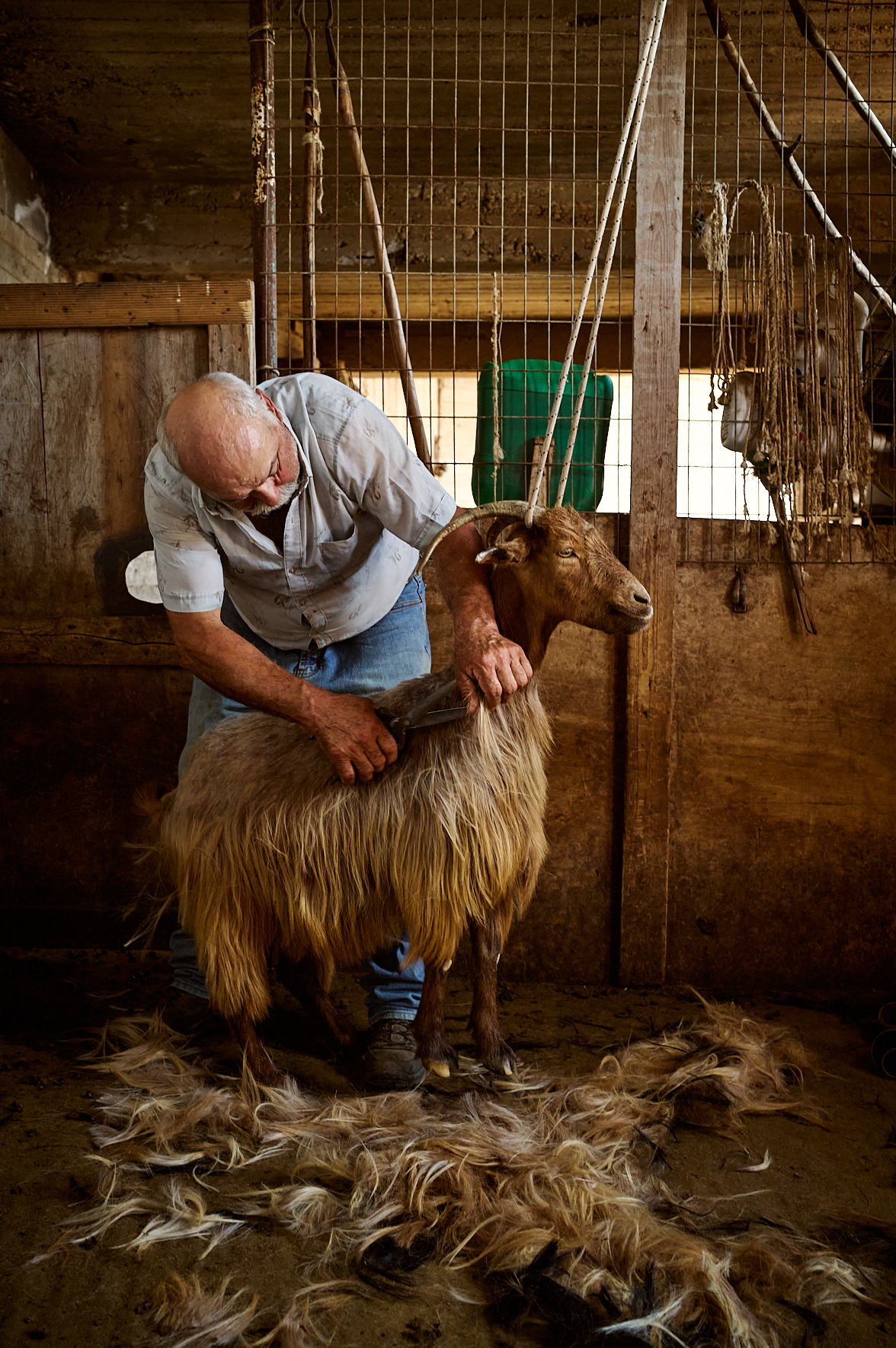 Le calme dans l'étable