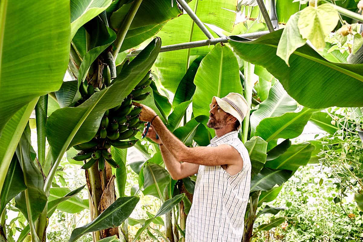 Kamarantho Organic Farm