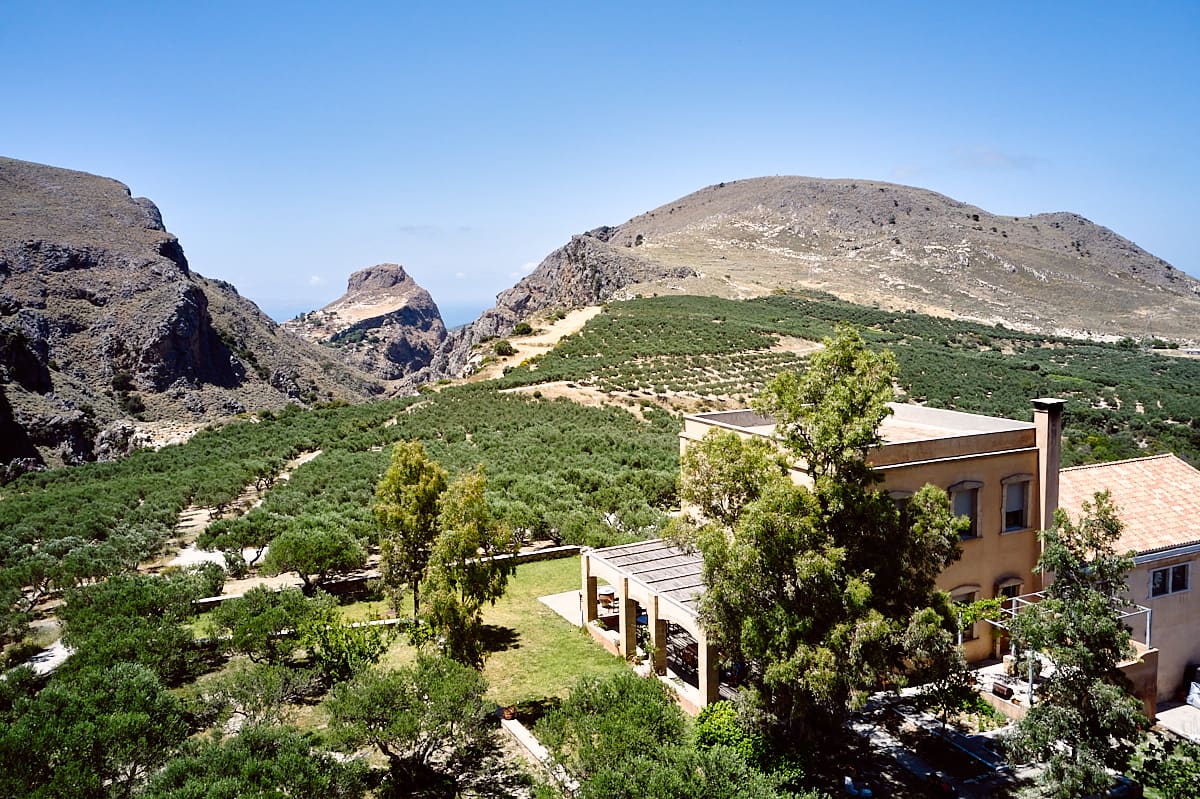 Oliveraie d'Astrikas, Crète Oliveraie d'Astrikas, Crète