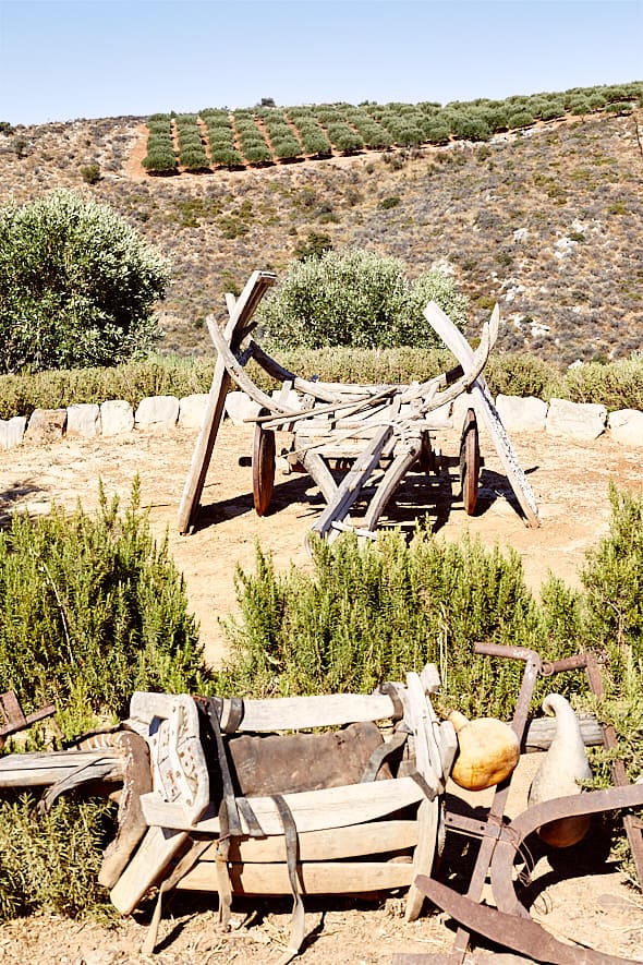 Ferme Peskesi, Harasso, Crète. Ferme Peskesi, Harasso, Crète.