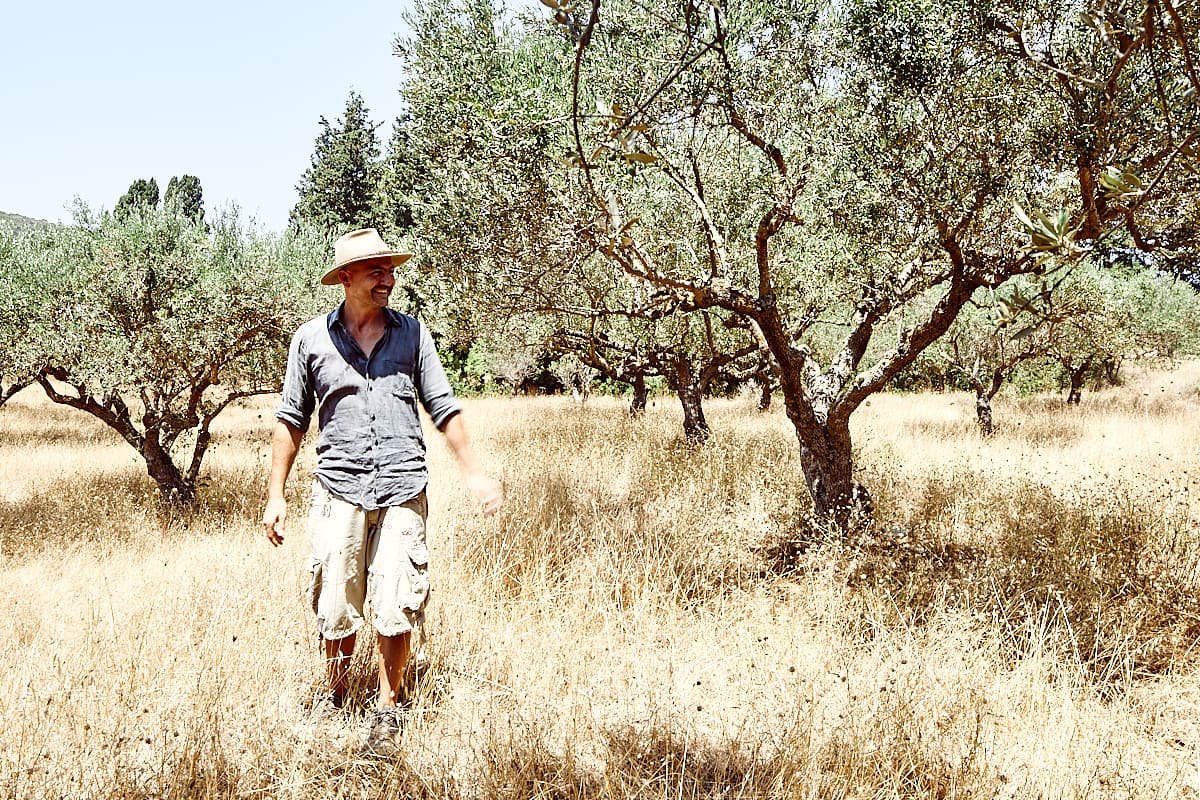 Harry Tzortzopoulos, producteur d'huile d'olive, Cythère, Grèce Harry Tzortzopoulos, producteur d'huile d'olive, Cythère, Grèce