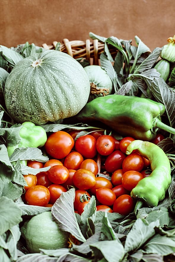 Récolte dans le potager de l'hôtel Paléopoli à Cythère. 