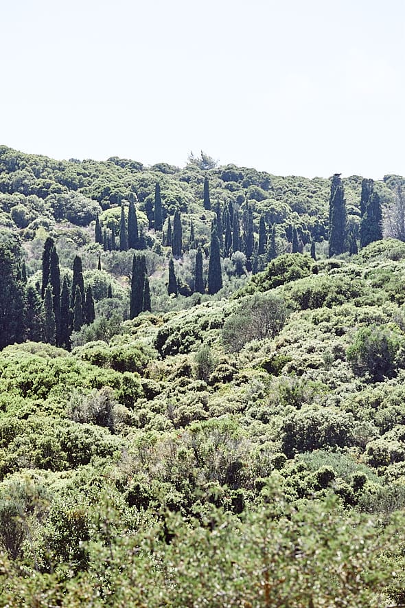 Paysage, Cythère. 