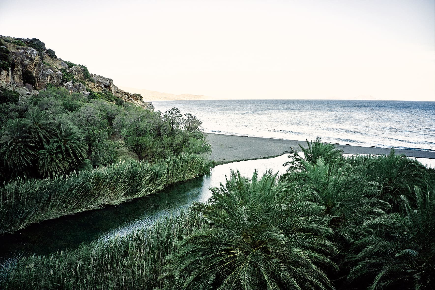 Palmeraie de Prévéli, Crète, Grèce Palmeraie de Prévéli, Crète, Grèce