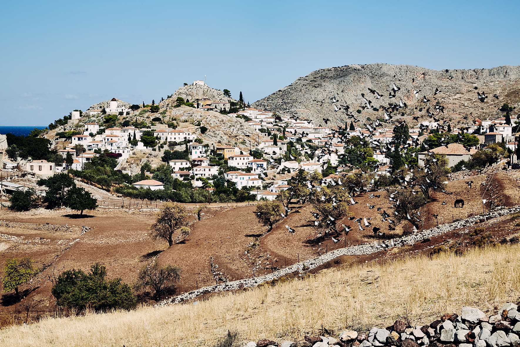 Hydra, Grèce Hydra, Grèce