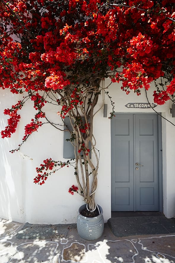 Ruelle de la chora de Kimolos, Grèce