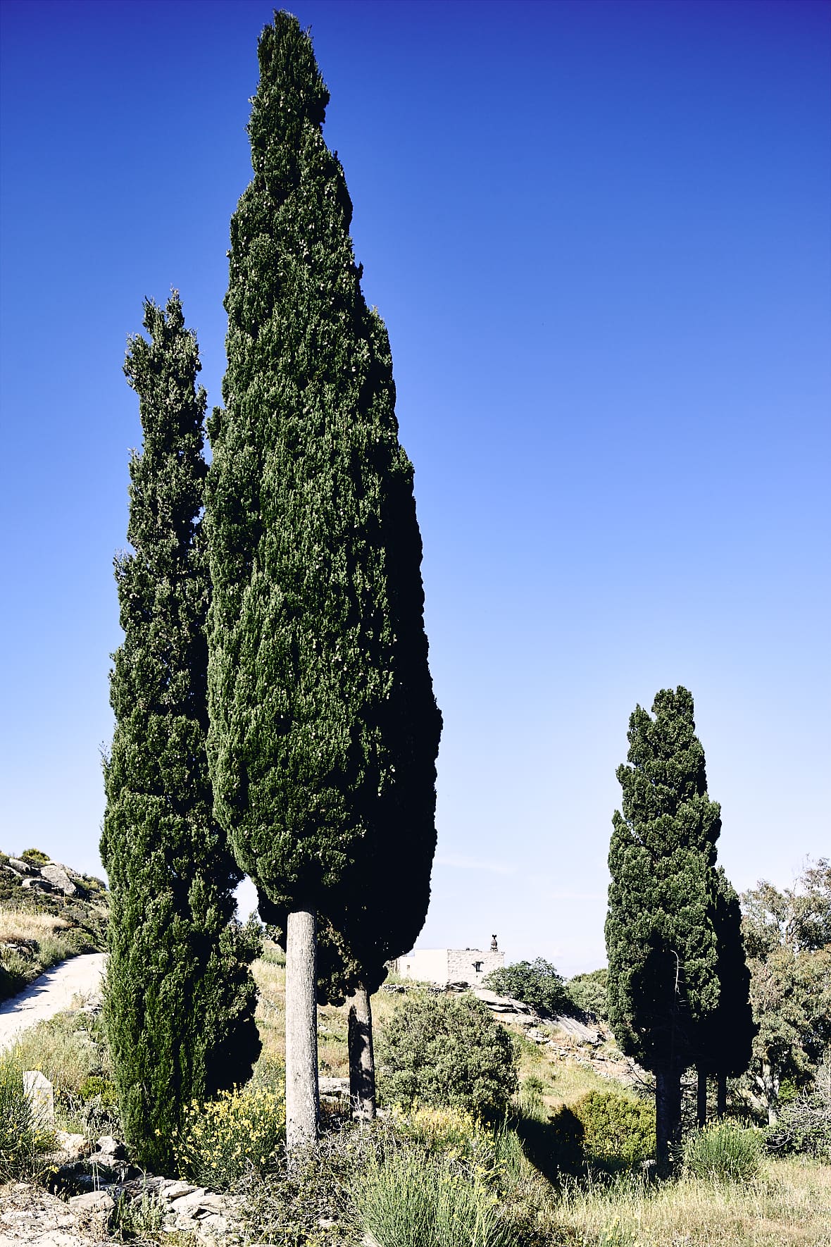 Campagne de Paros, Cyclades, Grèce