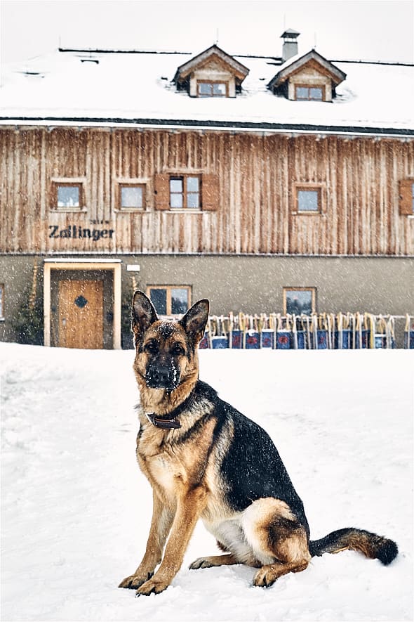 Dolomites | Hôtel Zallinger. 