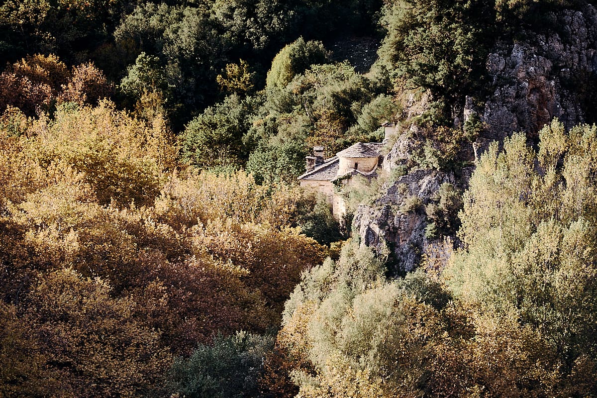 Forêt de platanes sur le Voïdomatis et monastère de Panagia Spileotissa | Zagori, Epire Forêt de platanes sur le Voïdomatis et monastère de Panagia Spileotissa | Zagori, Epire