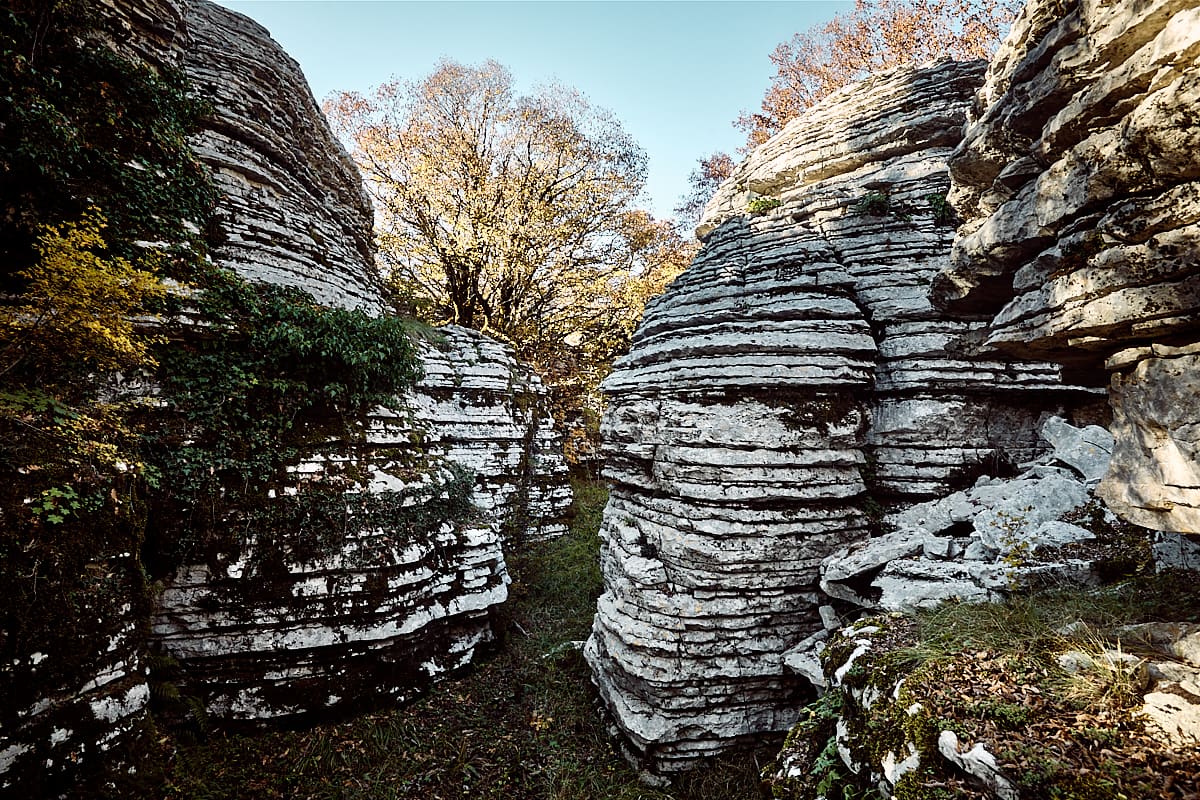La forêt de pierre d'Oxia près de Monodendri | Zagori, Epire La forêt de pierre d'Oxia près de Monodendri | Zagori, Epire