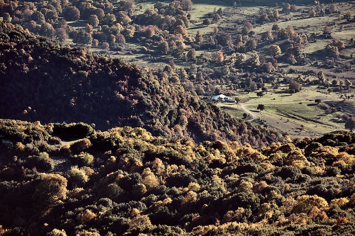 Plaine de Pedina | Zagori, Epire