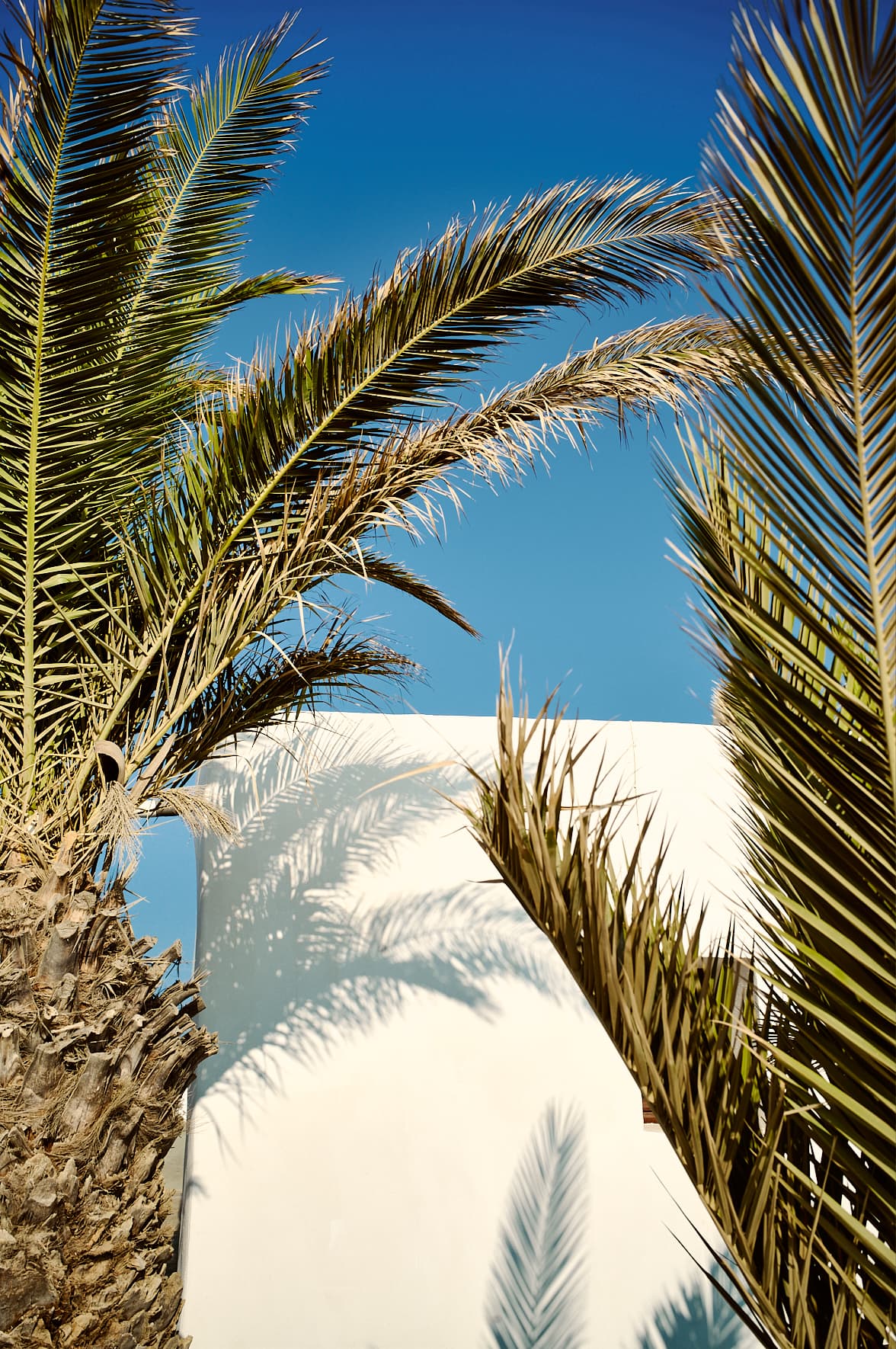 Chabelle à Ano Meria