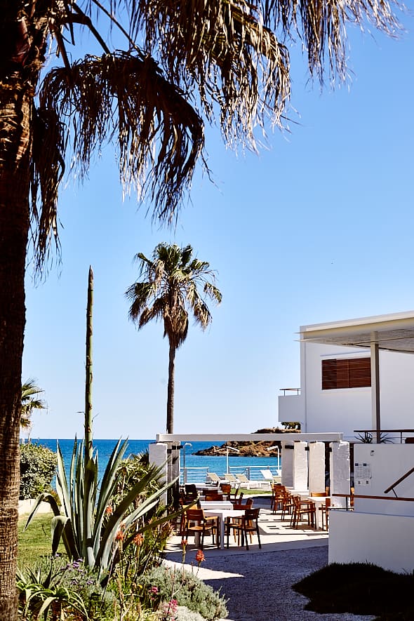 Hôtel Ammos à Chania (La Canée), Crète Hôtel Ammos à Chania (La Canée), Crète