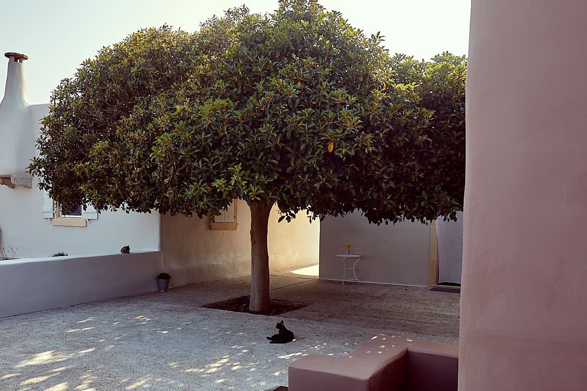 Hôtel Portari, Cythère, Grèce Hôtel Portari, Cythère, Grèce