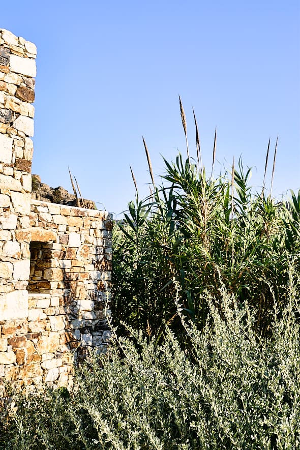 Hôtel The Rooster à Antiparos, Grèce. 