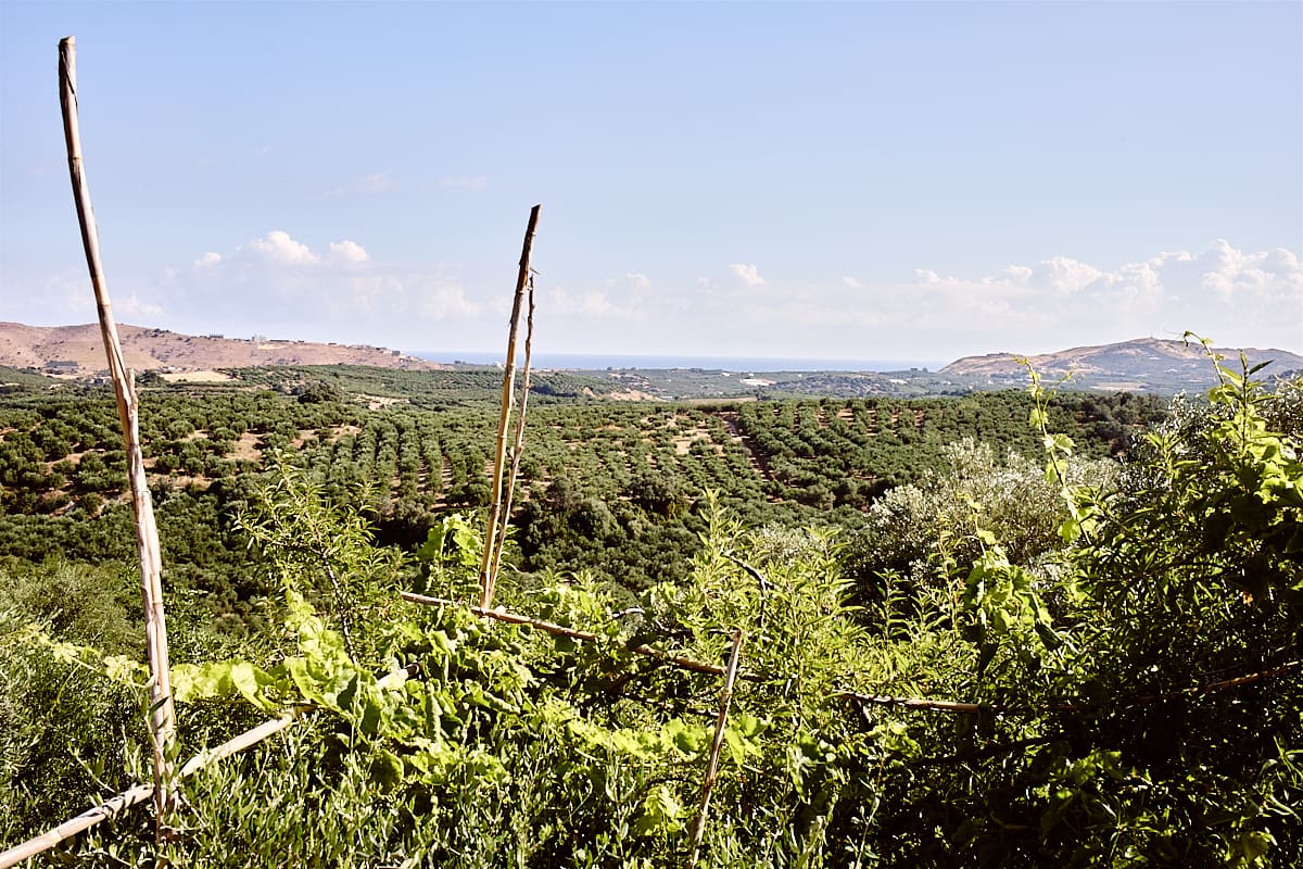 . Restaurant Dalabelos, Angeliana, Crète