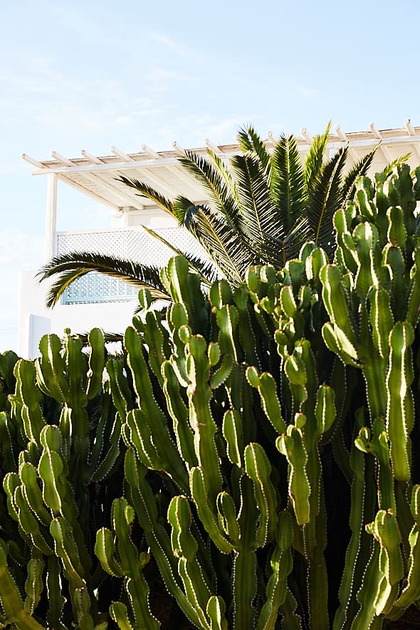 Hôtel Bill and Coo Suites à Mykonos Hôtel Bill and Coo Suites à Mykonos