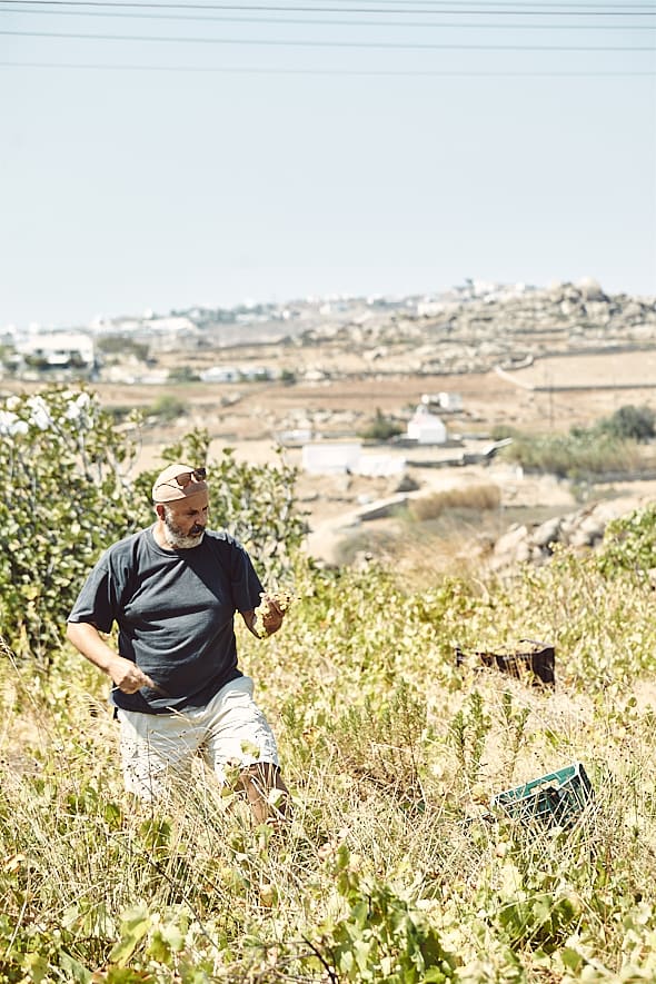 Giorgos Xidatis, Xidakis Microwinery, Mykonos, Grèce. 