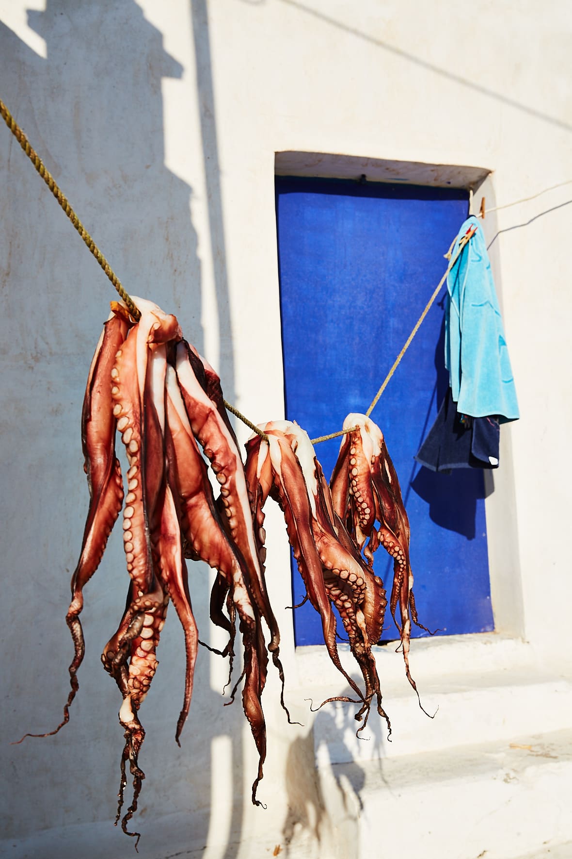 Poulpe séchant au soleil, Mykonos, Cyclades, Grèce