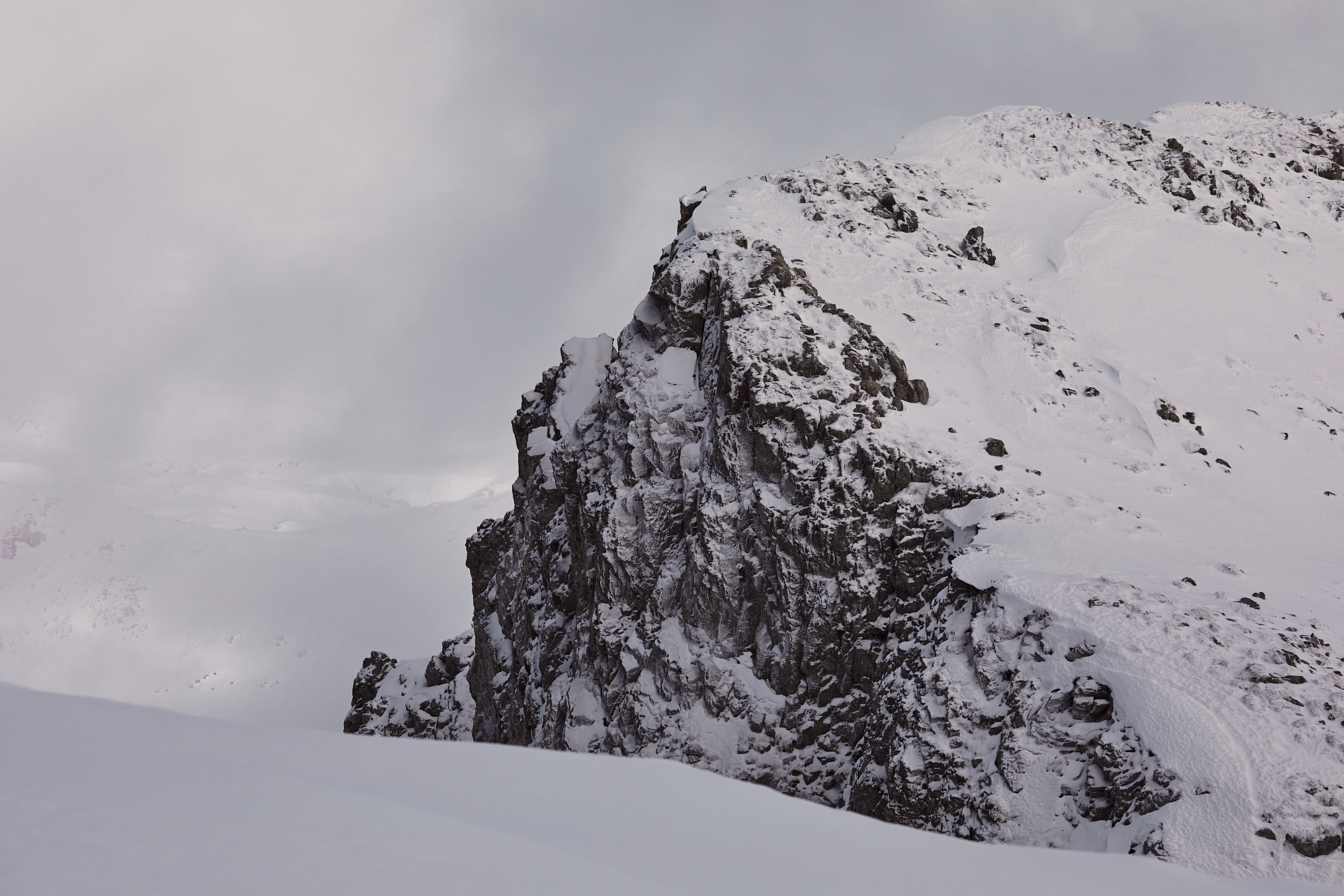 Un tour dans le Parnasse 