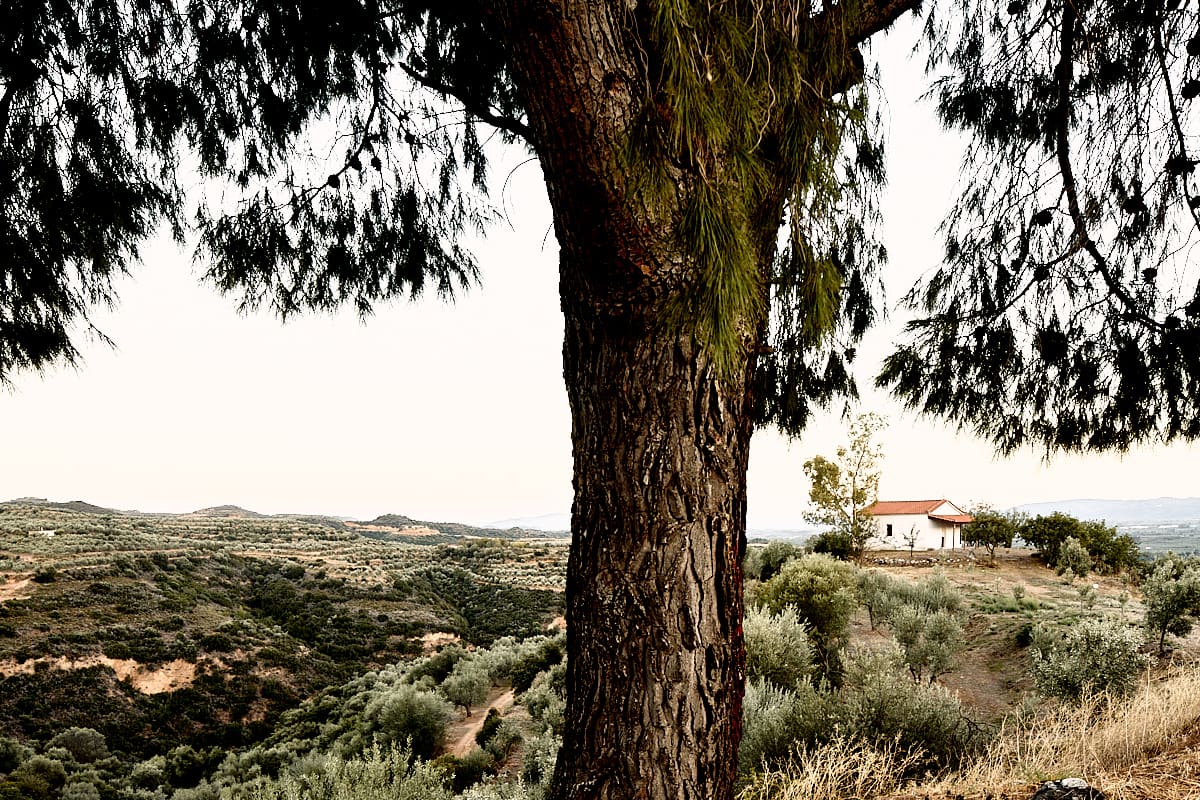 Campagne à Sparte, Péloponnèse, Grèce