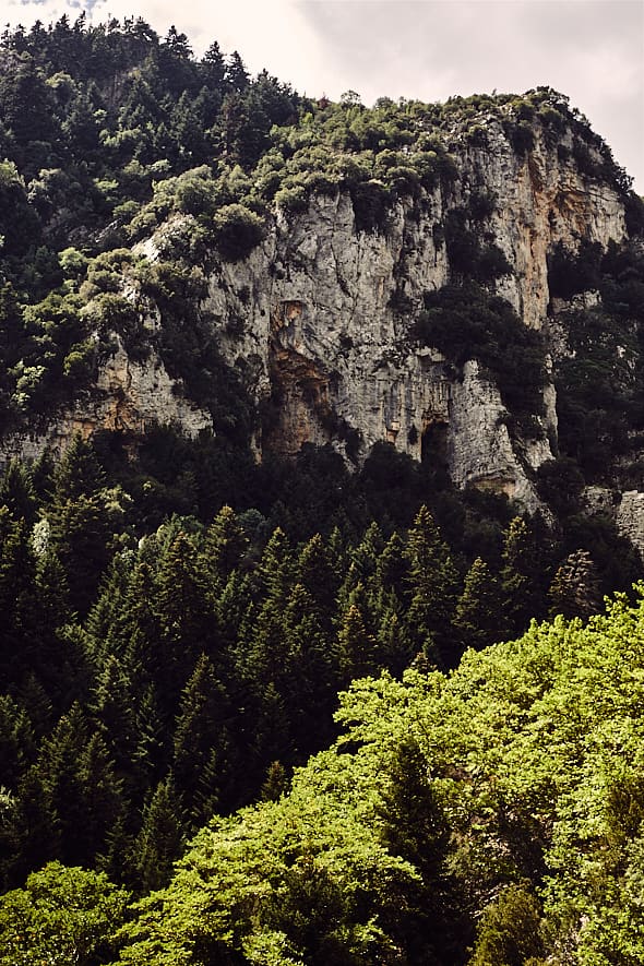 Montagne du Tayguète, Péloponnèse, Grèce. 