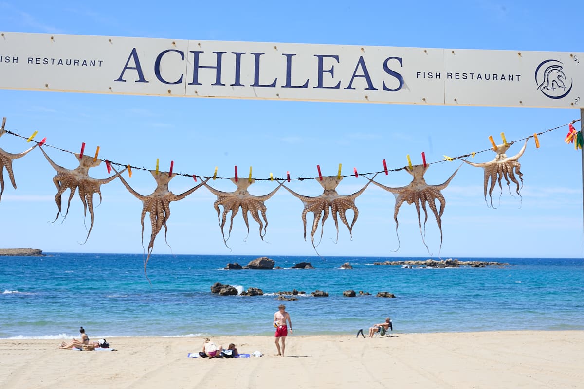 Taverne Achilleas à Chania. Taverne Achilleas à Chania Taverne Achilleas à Chania. Taverne Achilleas à Chania