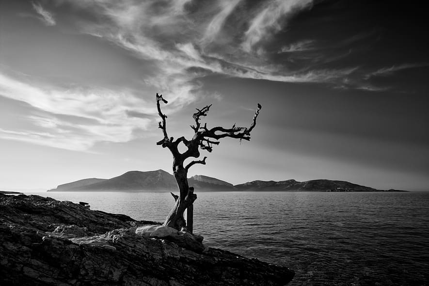 . Bar Sorokos à Koufonissi, Grèce