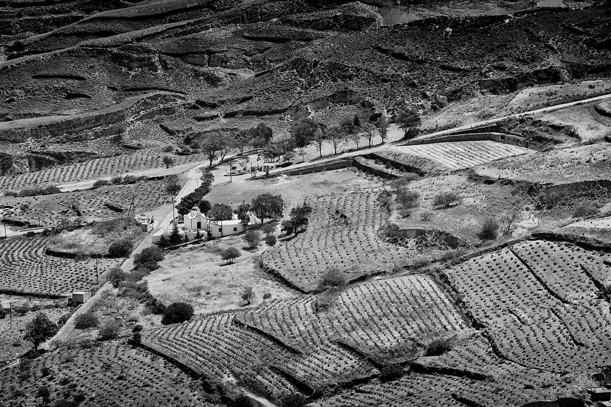 Santorin | Vignoble