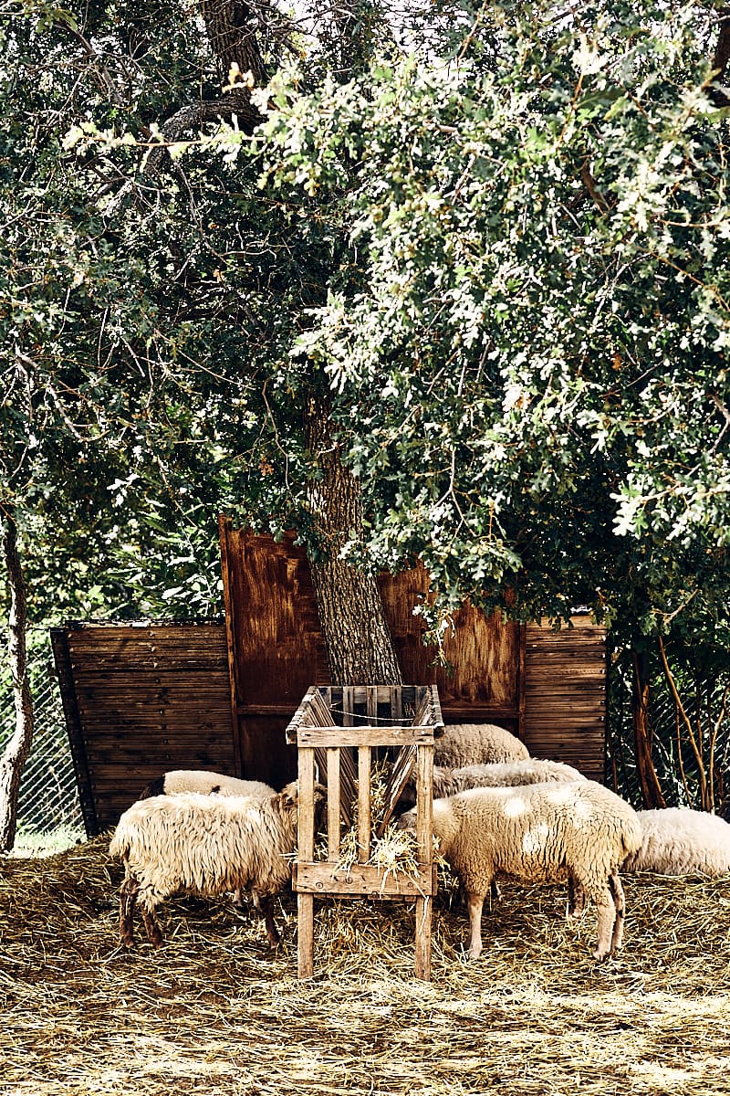 Grèce, Une table à la ferme Grèce, Une table à la ferme
