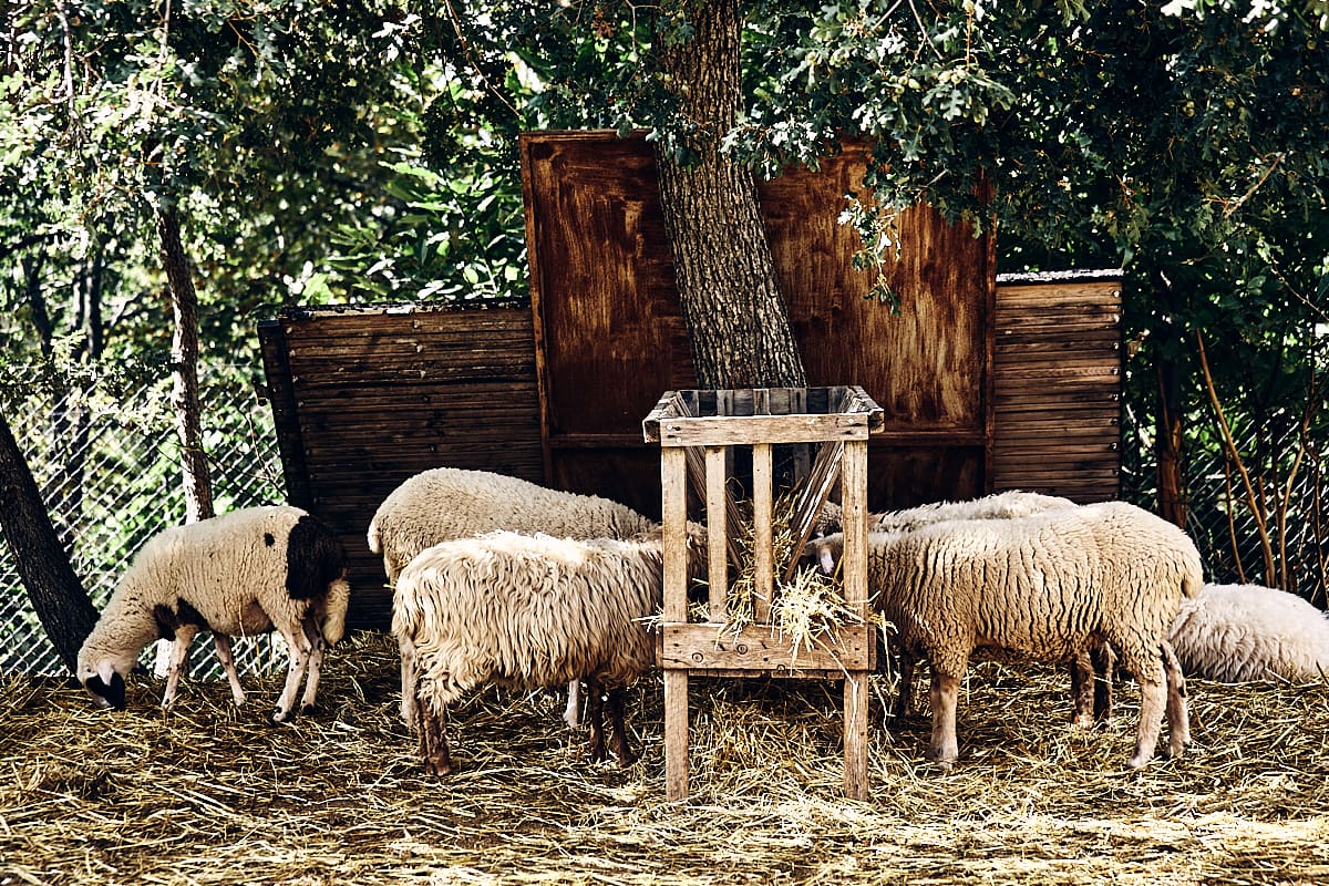 Grèce, Une table à la ferme Grèce, Une table à la ferme